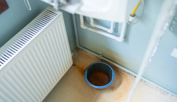 Best Mold removal after water damage  in Governors Village, NC